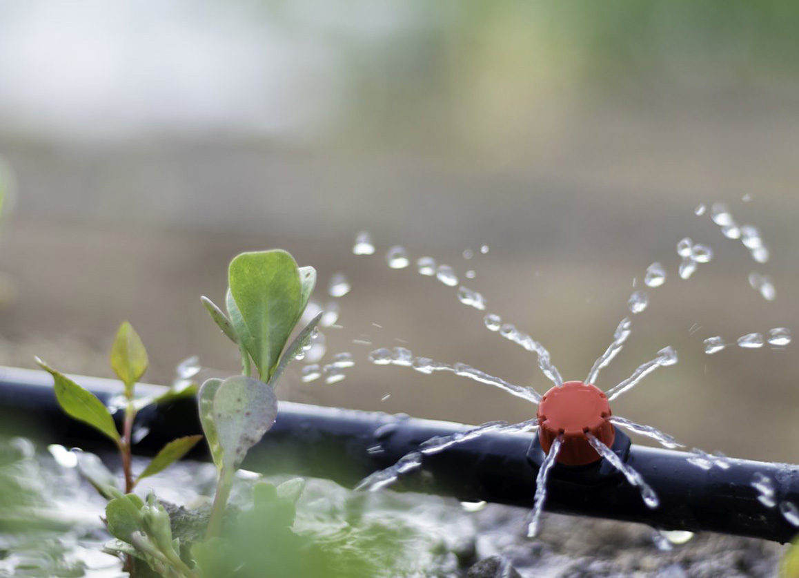 a garden irrigation hose pipe spraying a sprinkle of water